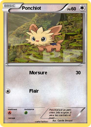 Pokemon Ponchiot