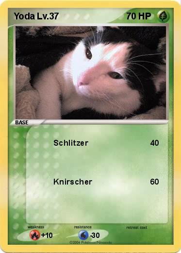 Pokemon Yoda Lv.37