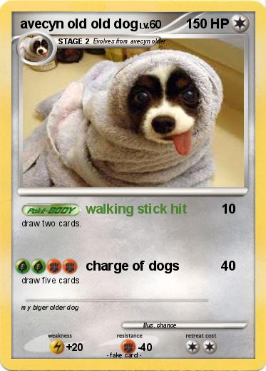 Pokemon avecyn old old dog
