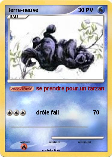 Pokemon terre-neuve