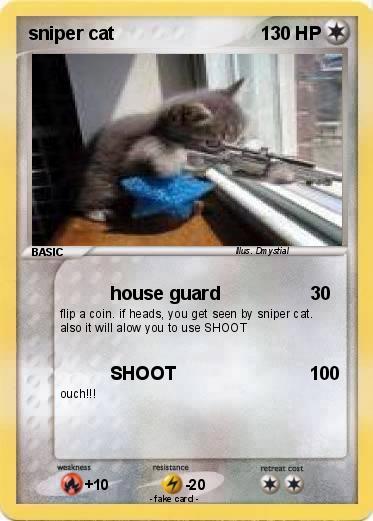 Pokemon sniper cat