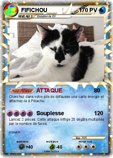 Pokemon FIFICHOU