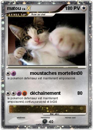 Pokemon matou