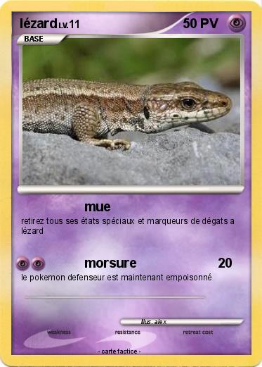 Pokemon lézard