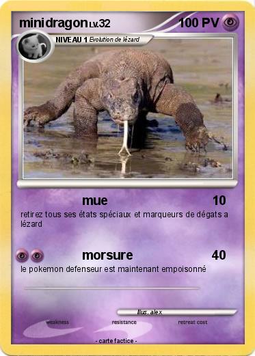 Pokemon minidragon