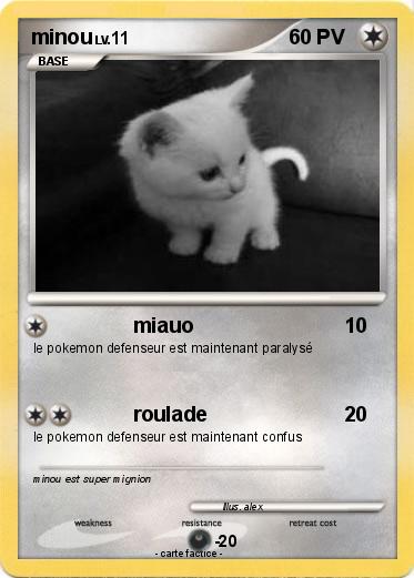 Pokemon minou