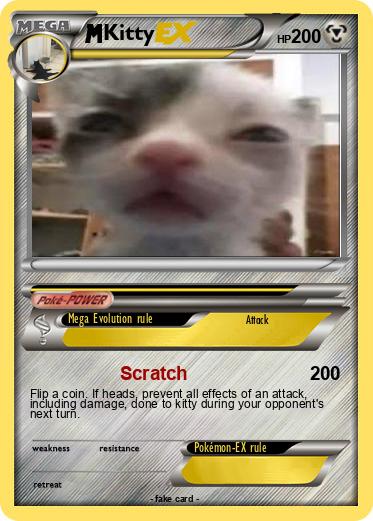 Pokemon Kitty