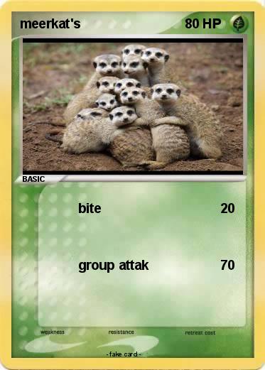Pokemon meerkat's