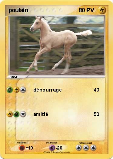 Pokemon poulain 
