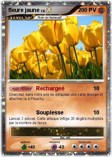 Pokemon fleure jaune