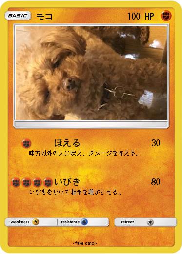 Pokemon モコ