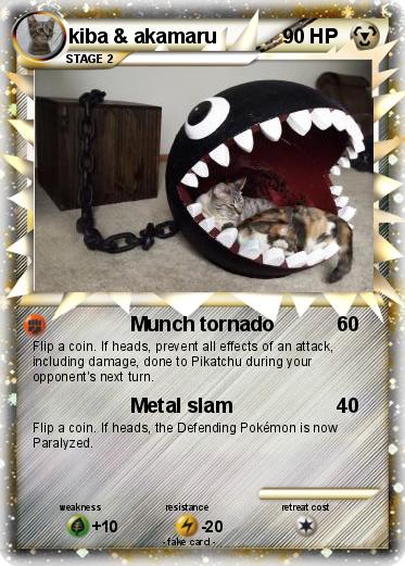 Pokemon kiba & akamaru