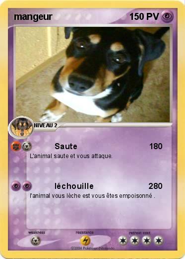 Pokemon mangeur