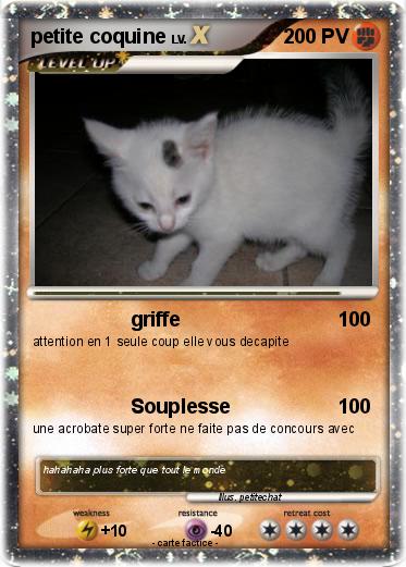 Pokemon petite coquine