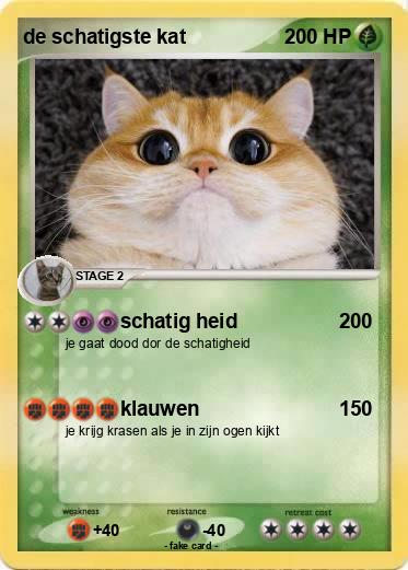Pokemon de schatigste kat