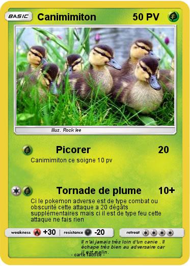 Pokemon Canimimiton