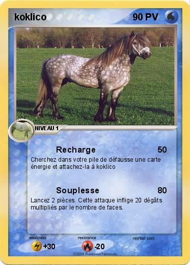 Pokemon koklico