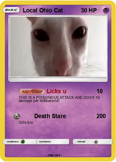 Pokemon Local Ohio Cat