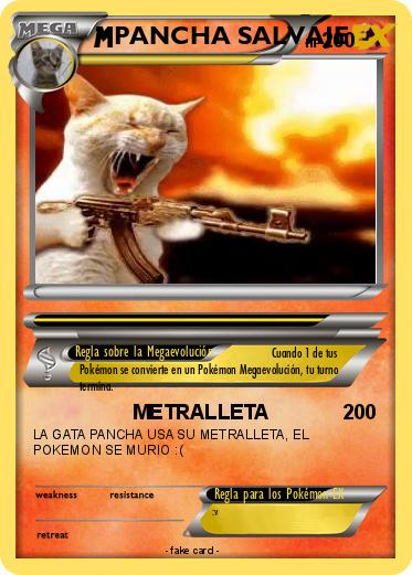 Pokemon PANCHA SALVAJE