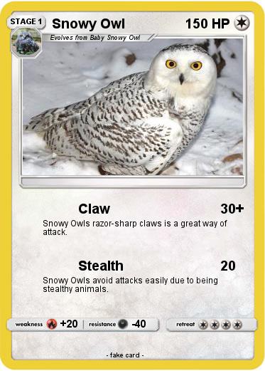 Pokemon Snowy Owl