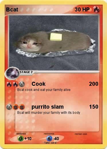 Pokemon Bcat