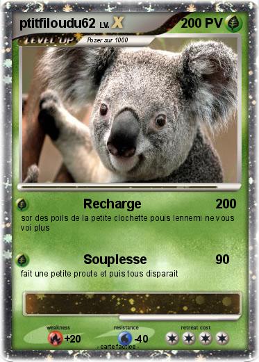 Pokemon ptitfiloudu62