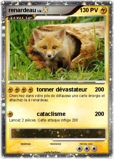 Pokemon renardeau
