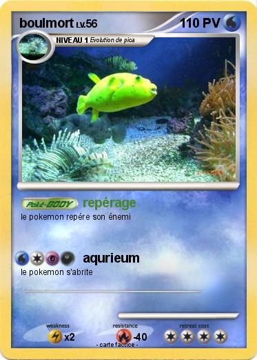 Pokemon boulmort