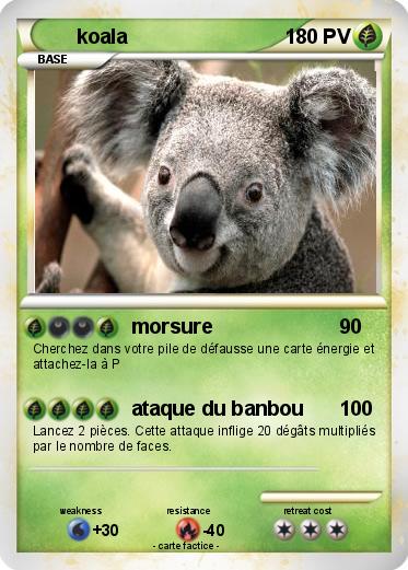 Pokemon koala