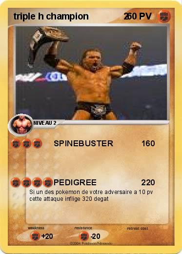 Pokemon triple h champion              2