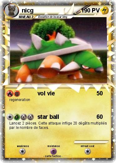 Pokemon nicg