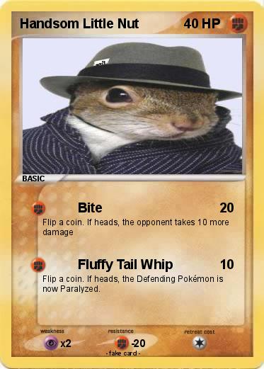 Pokemon Handsom Little Nut