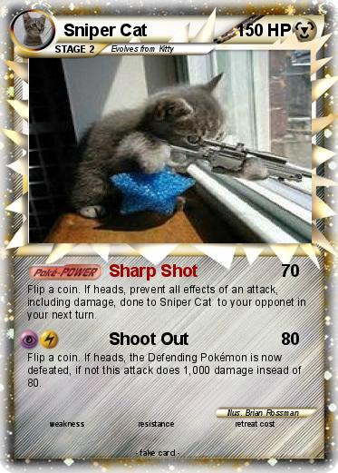 Pokemon Sniper Cat