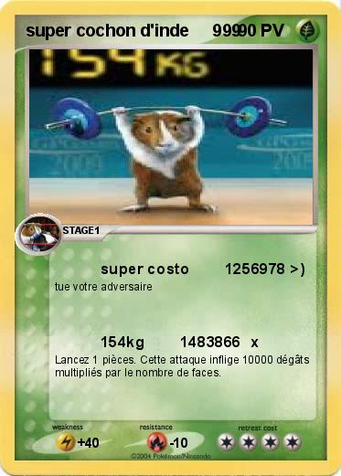 Pokemon super cochon d'inde     999