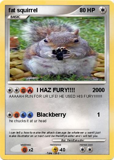 Pokemon fat squirrel
