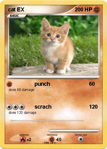Pokemon cat EX