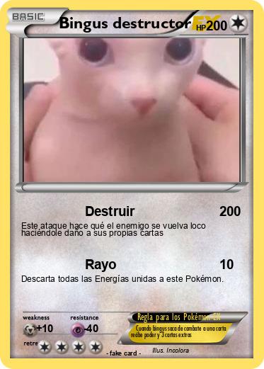 Pokemon Bingus destructor