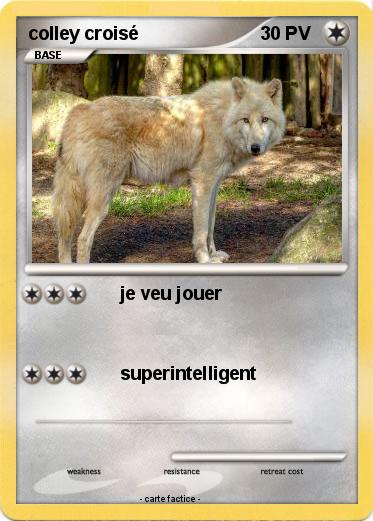 Pokemon colley croisé