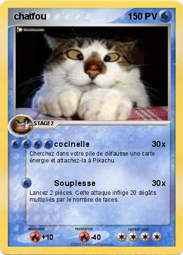 Pokemon chatfou