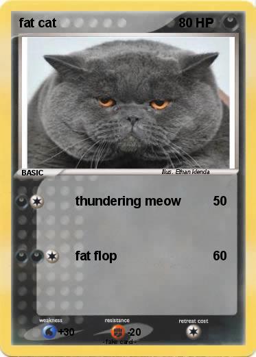 Pokemon fat cat