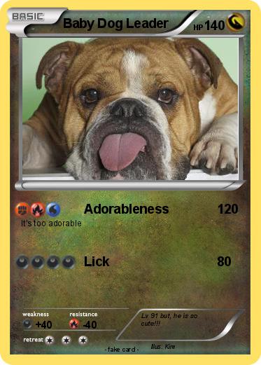 Pokemon Baby Dog Leader