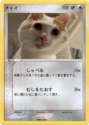 Pokemon チャイ