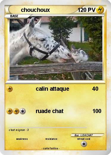 Pokemon chouchoux