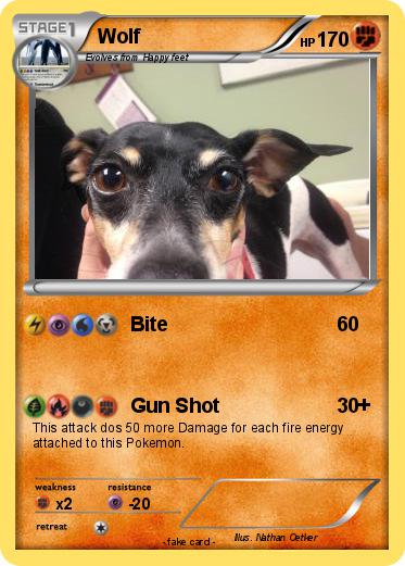 Pokemon Wolf