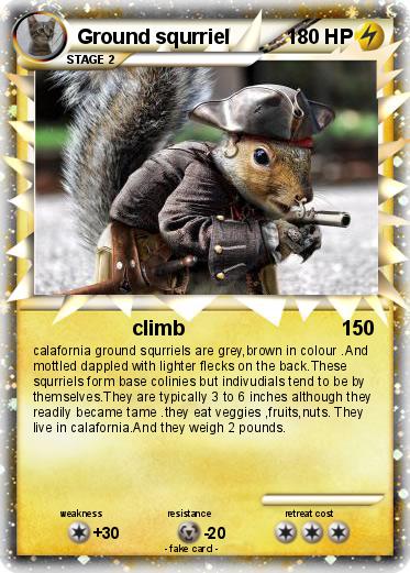 Pokemon Ground squrriel