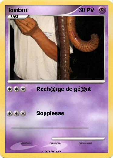 Pokemon lombric