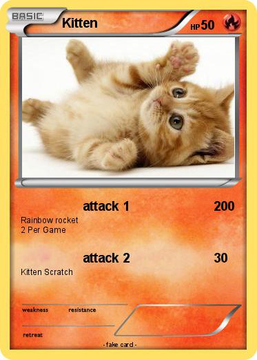 Pokemon Kitten