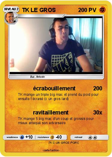 Pokemon TK LE GROS