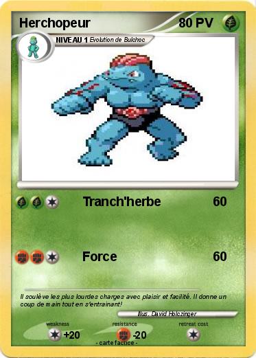 Pokemon Herchopeur