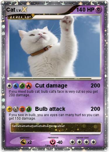 Pokemon Cat